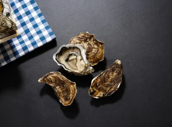 Austern Gillardeu 12 Stk.